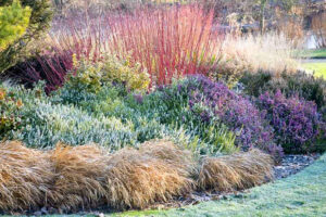 Fall Color with Shrubs Complete Landscaping Service