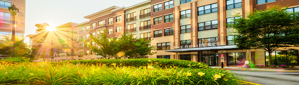 commercial building landscaping