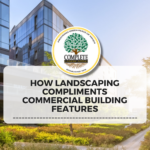 Landscaping compliments commercial building features