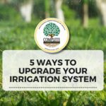 5 Ways to Upgrade Your Irrigation System