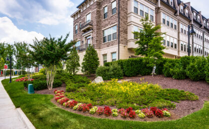 commercial landscaping Potomac overlook