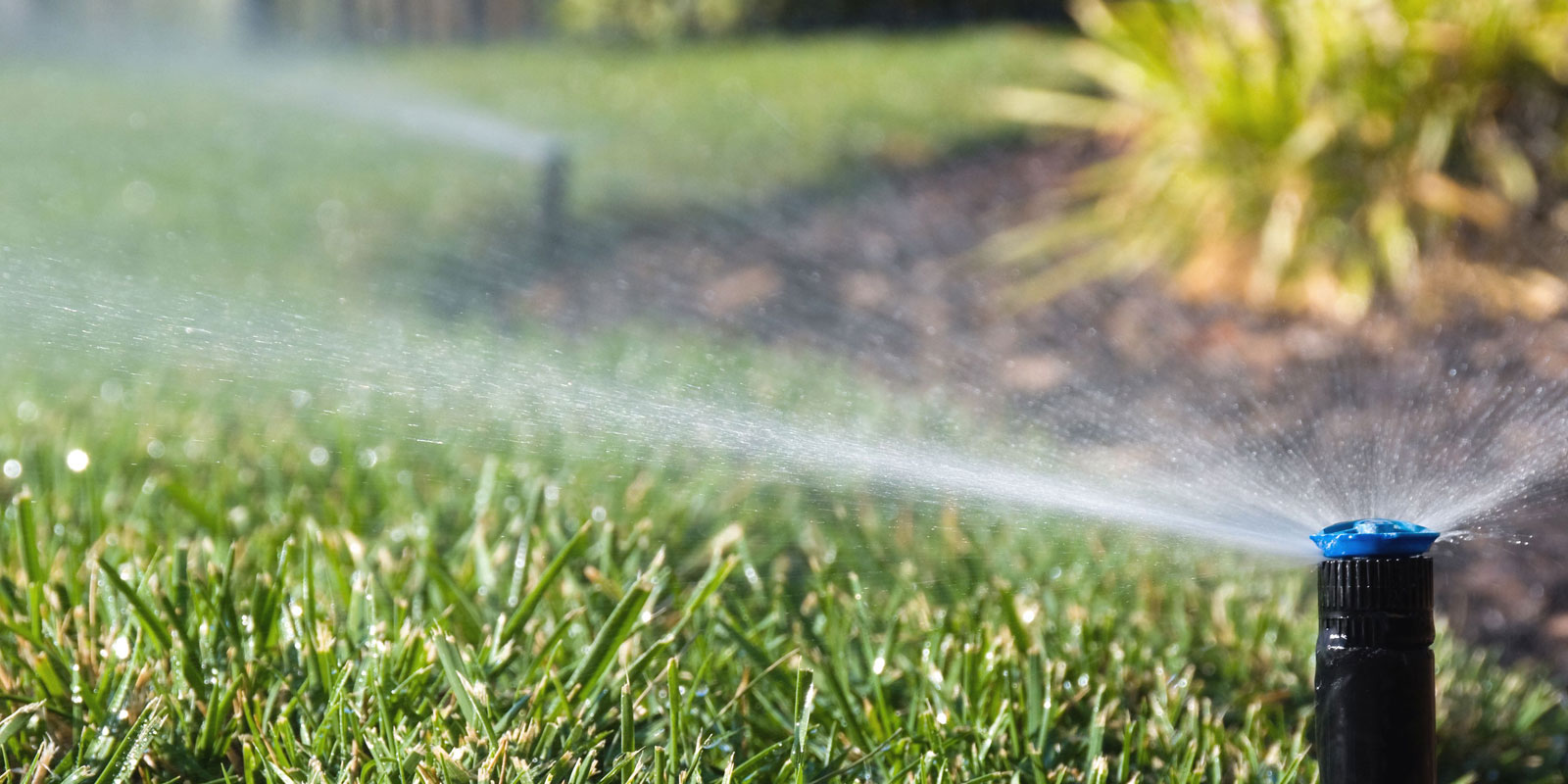 5 Ways to Upgrade Your Irrigation System