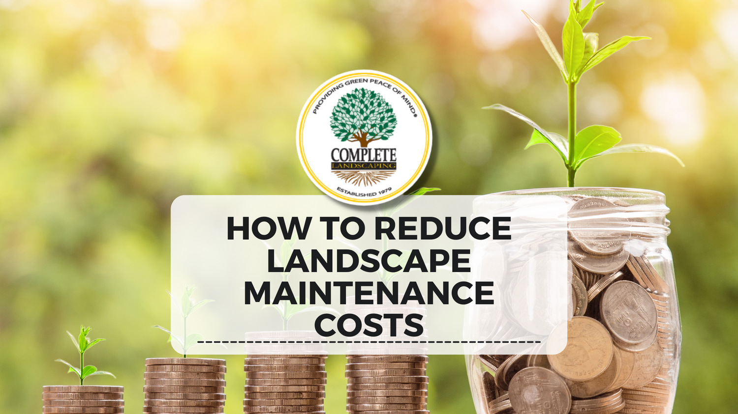 Reduce Lawn Maintenance Costs Complete Landscaping Services