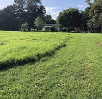 open field open field