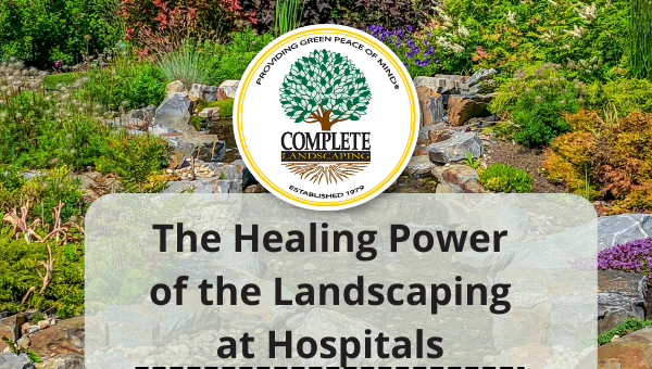 The Healing Power of the Landscaping at Hospitals