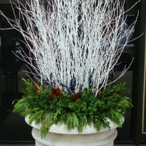 Winter pot arrangement in front of a commercial building