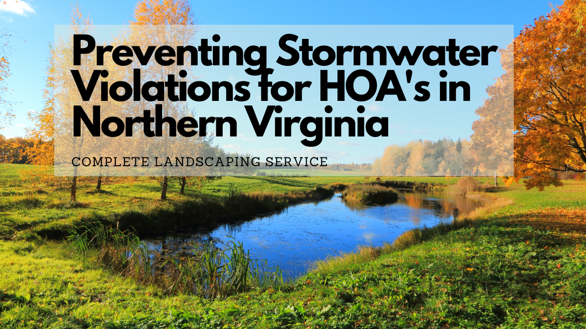 Stormwater retention pond in Northern Virginia