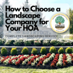 HOA landscape entrance in northern Virginia