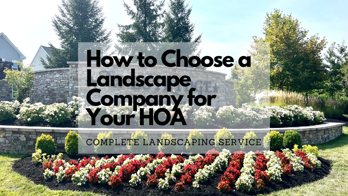 HOA Landscape entrance