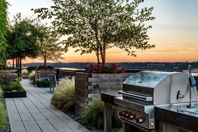 Gathering and cooking space on roof of dc apartment