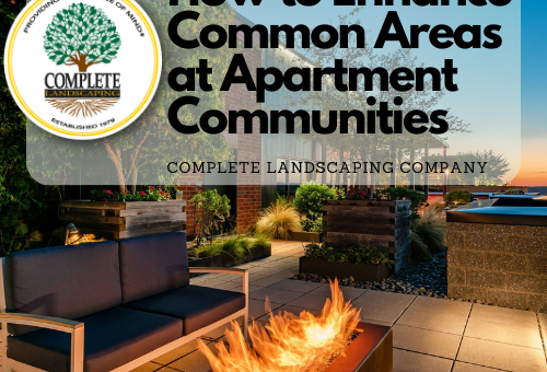 How to Enhance Common Areas at Apartment Communities