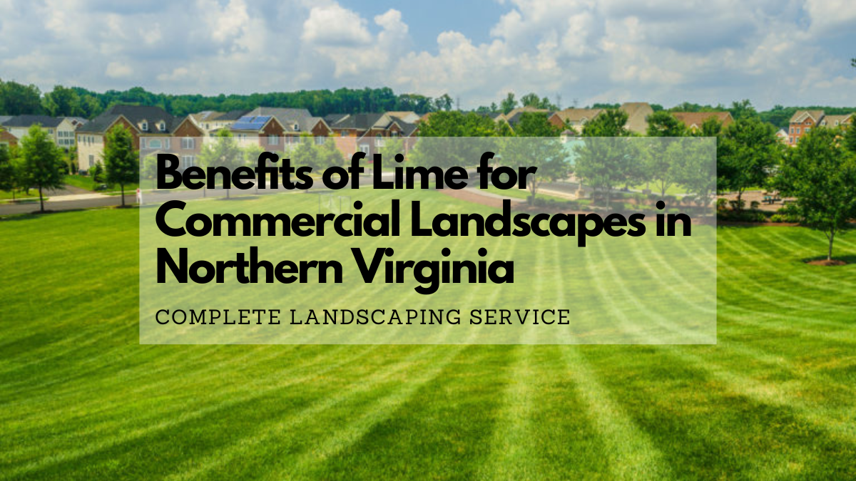 Benefits of Lime for Commercial Landscapes in Northern Virginia