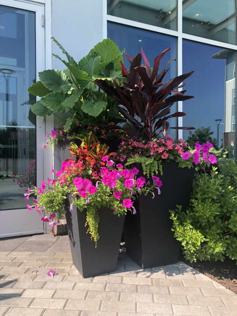 The Best Rooftop Planters in DC | Complete Landscaping Service