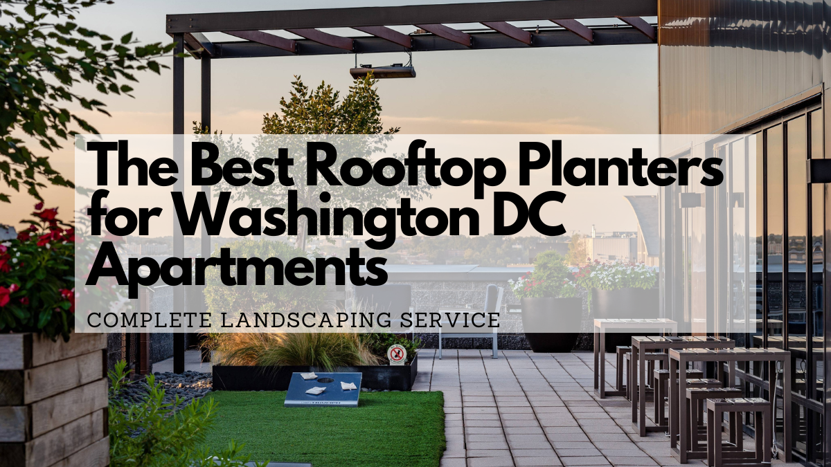 Best rooftop planters at a Washington DC Apartment