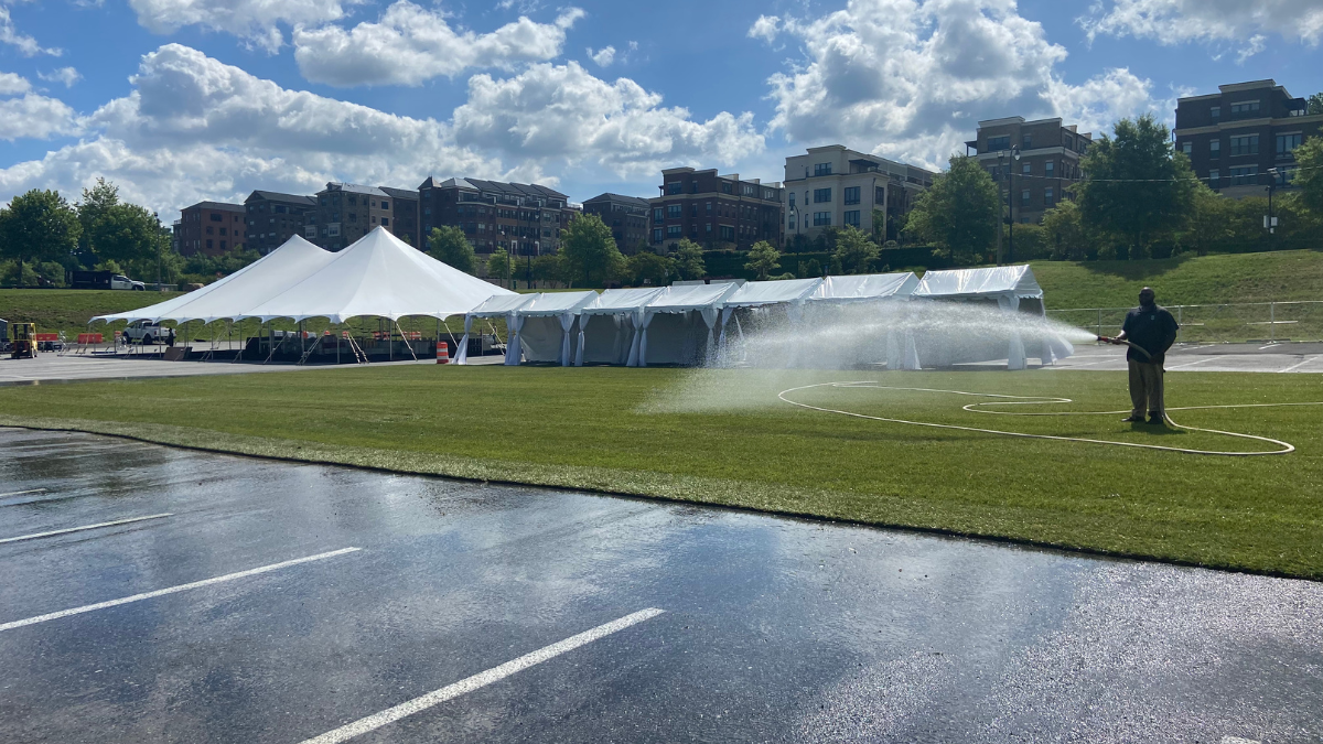 Washington DC Sod Installation Project