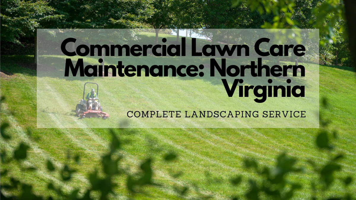 Commercial Lawn Care Maintenance in Northern Virginia