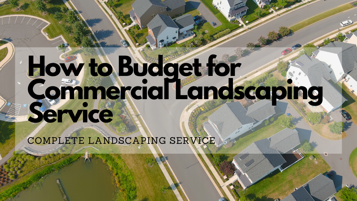 How to Budget for Commercial Landscaping Service