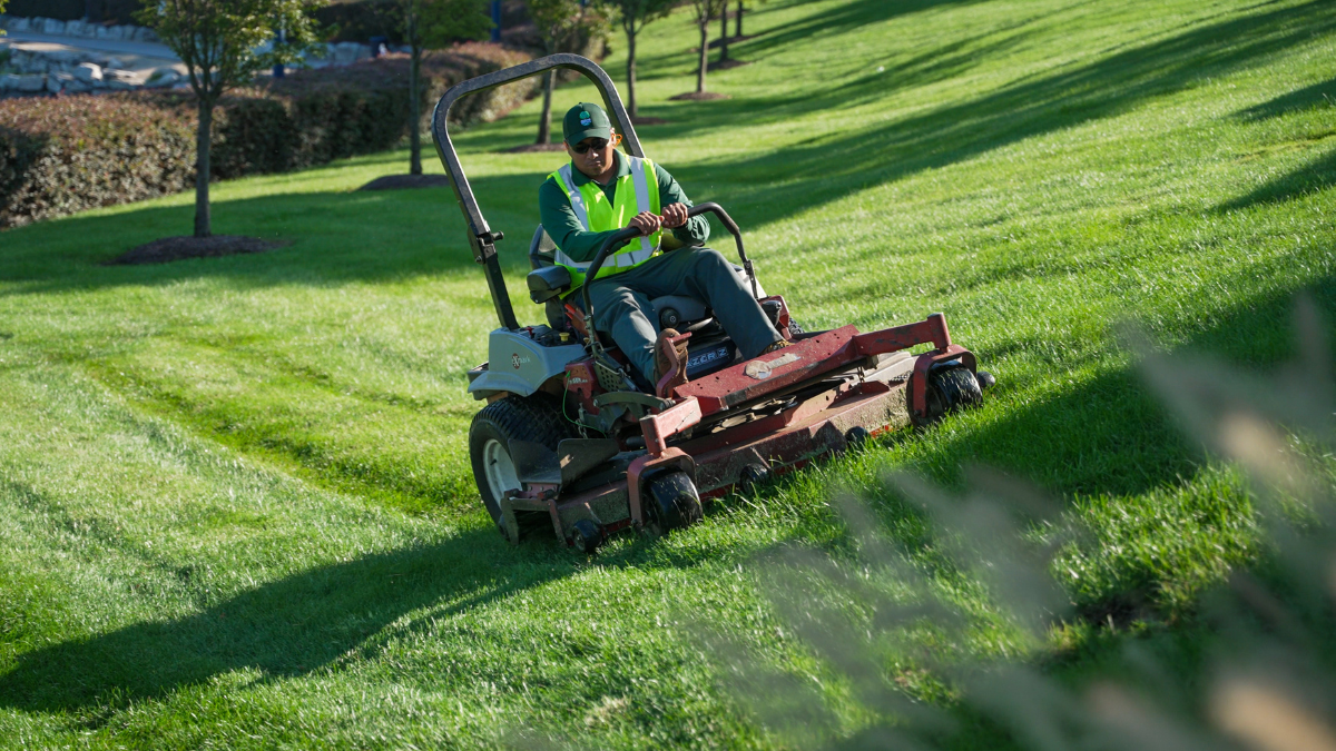 Commercial Landscape Maintenance