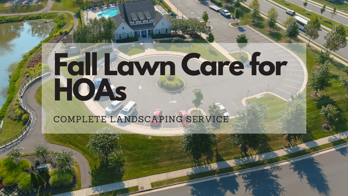 Commercial Grounds Maintenance at a Northern Virginia HOA