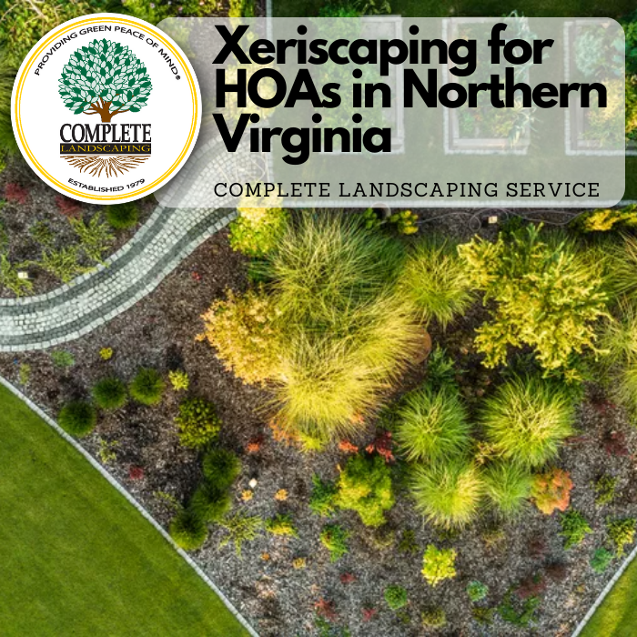 Xeriscaping for HOAs in Northern Virginia Complete Landscaping