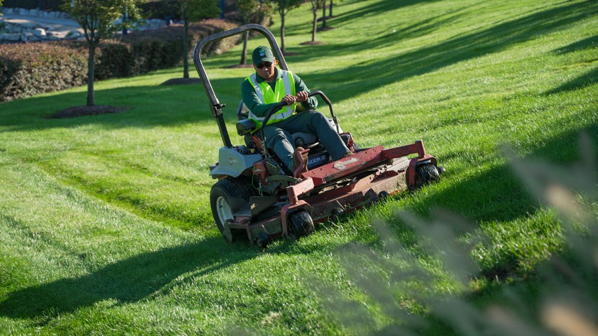 Man Mowing