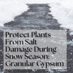 Protect Plants From Salt Damage During Snow: Granular Gypsum