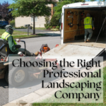 Choosing the right professional landscaping company