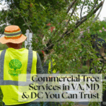 Commercial Tree Services in VA, MD & DC You Can Trust