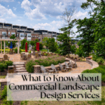 What to Know About Commercial Landscape Design Services