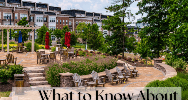 What to Know About Commercial Landscape Design Services
