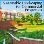 Sustainable Landscaping for Commercial Properties