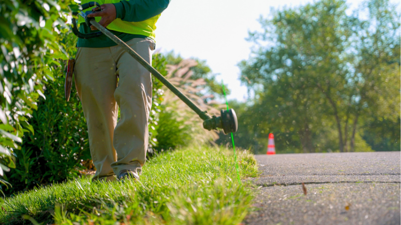 Tree care services and summer landscape maintenance on commercial property