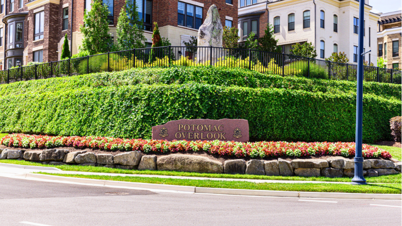 Fall seasonal landscaping and planting at commercial property entrance