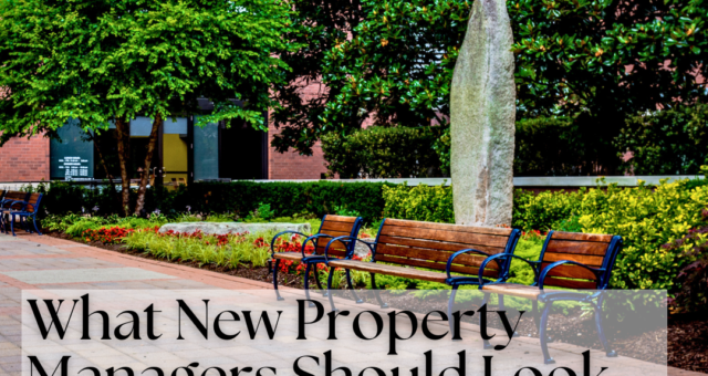 Commercial Landscaping Services Guide for Property Managers